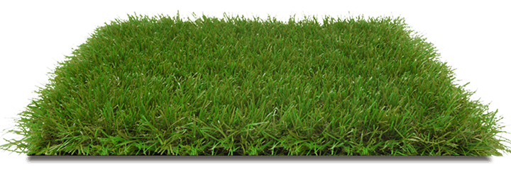 Kocaeli taş duvar, hizmetler sayfası çim ve peyzaj görseli